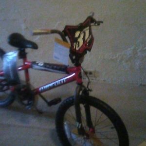 Brand new 20 inch kid's bike